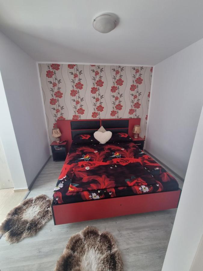 Apartament Alina Saturn Exterior photo